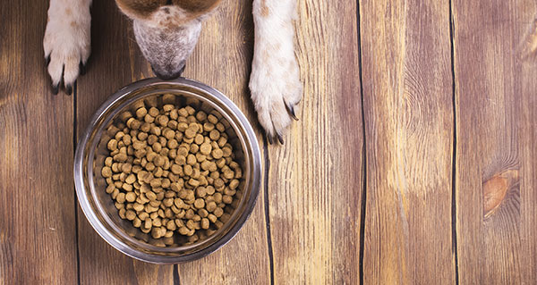 动物饲料及兽药行业