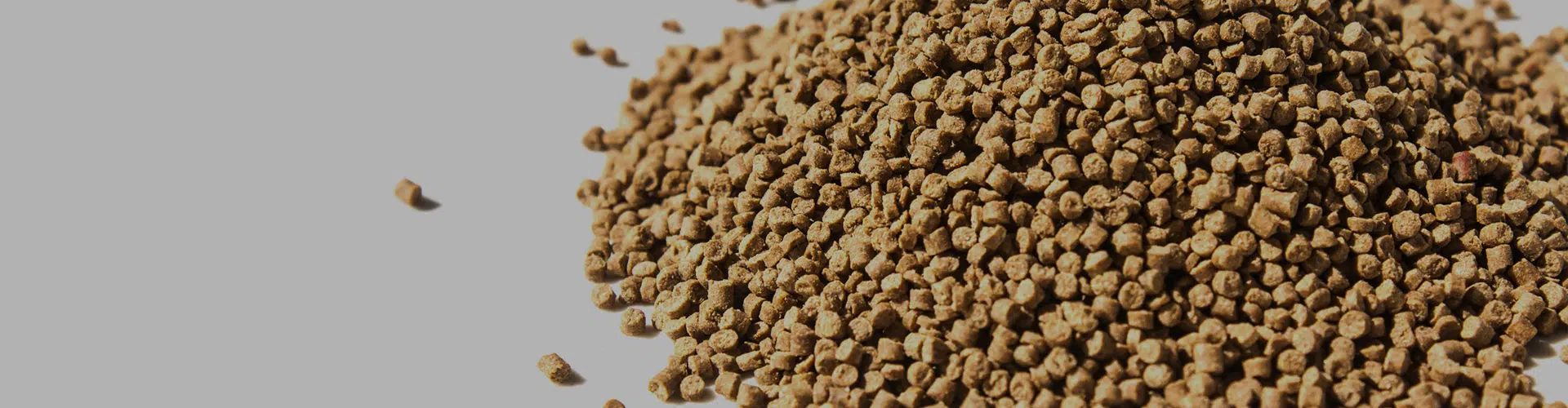 鱼虾饲料粉碎混合生产线