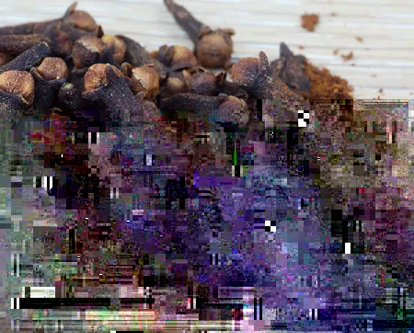 丁香粉碎生产线