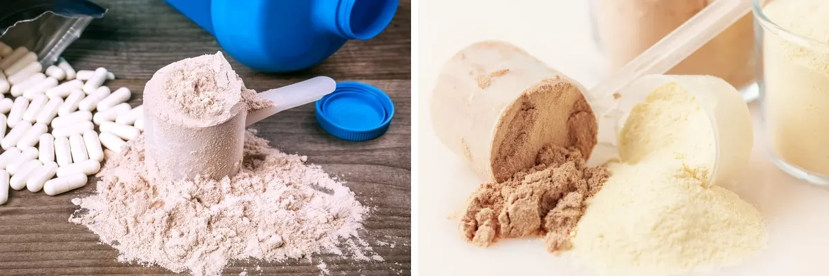 蛋白质粉混合机 蛋白质粉混合机