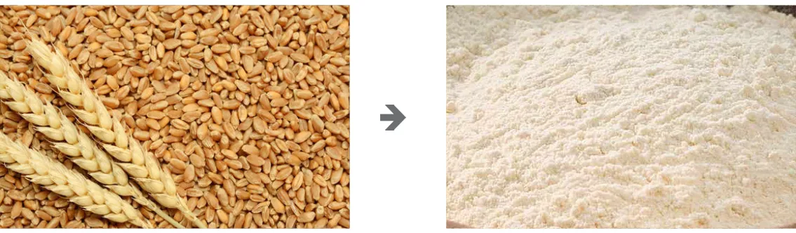 小麦粒研磨机 小麦粒研磨机